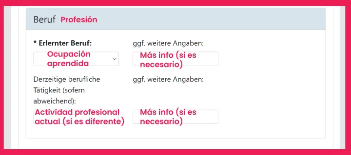 Profesión y ocupación