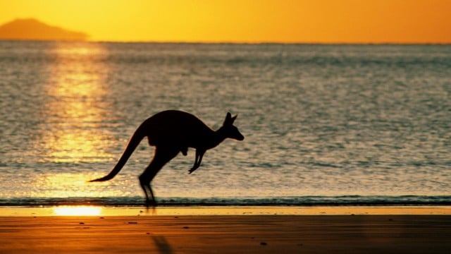australia-work-and-travel