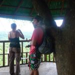 gibbon experience laos
