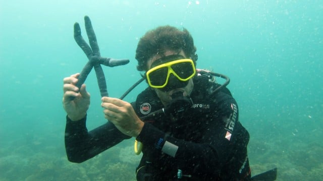 buceo-vietnam