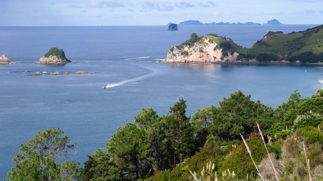 coromandel cathedral cove nueva zelanda