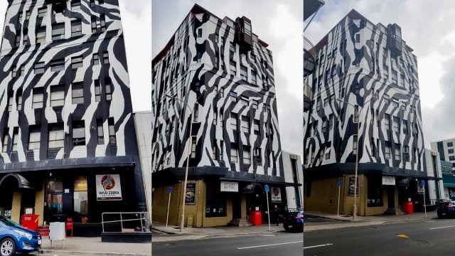 hostel wildzebra wellington nueva zelanda