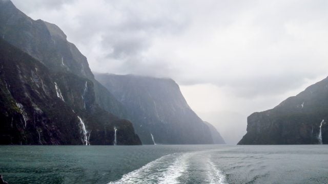 milford sounds nueva zelanda