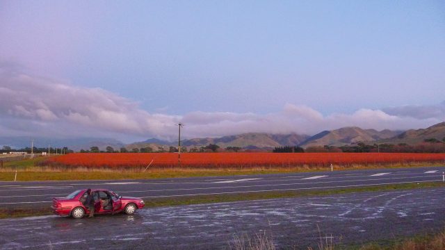 trabajar bodega vinos nueva zelanda
