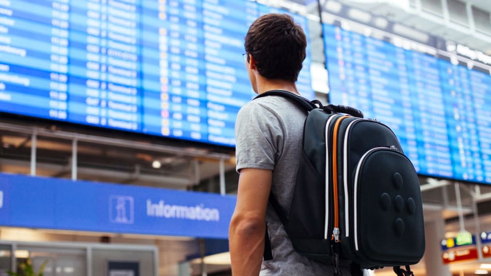 cuanto tiempo puedo estar en el Espacio Schengen con la working holiday visa