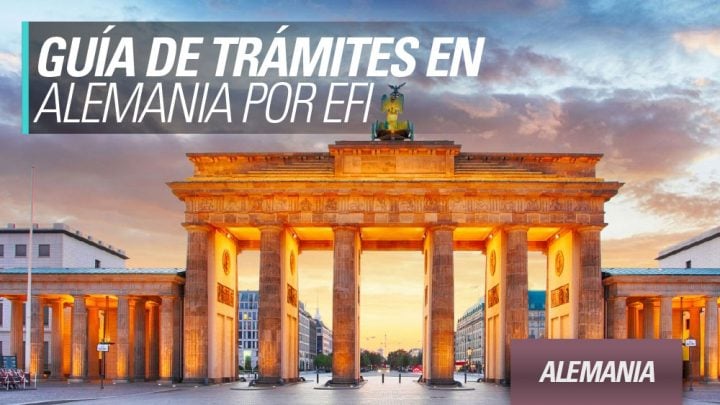 alemania visa working 