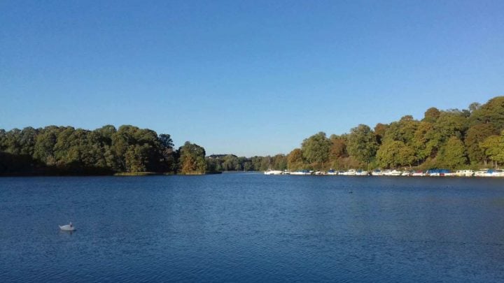 Experiencia working holiday Suecia 