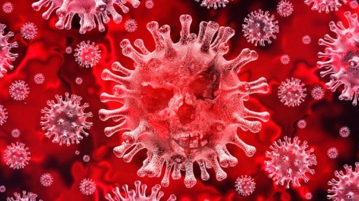 coronavirus