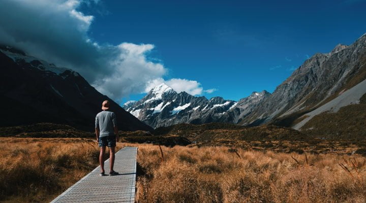 new zealand backpackers