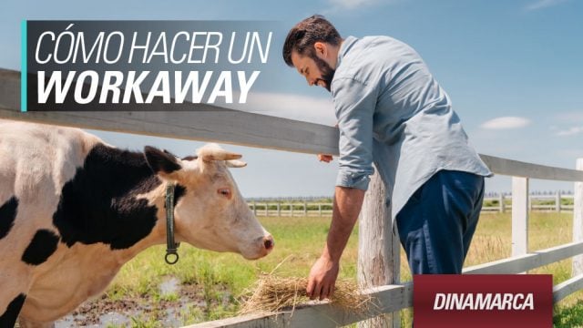 workaway-dinamarca