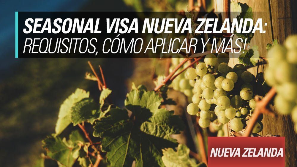 seasonal visa nueva zelanda header