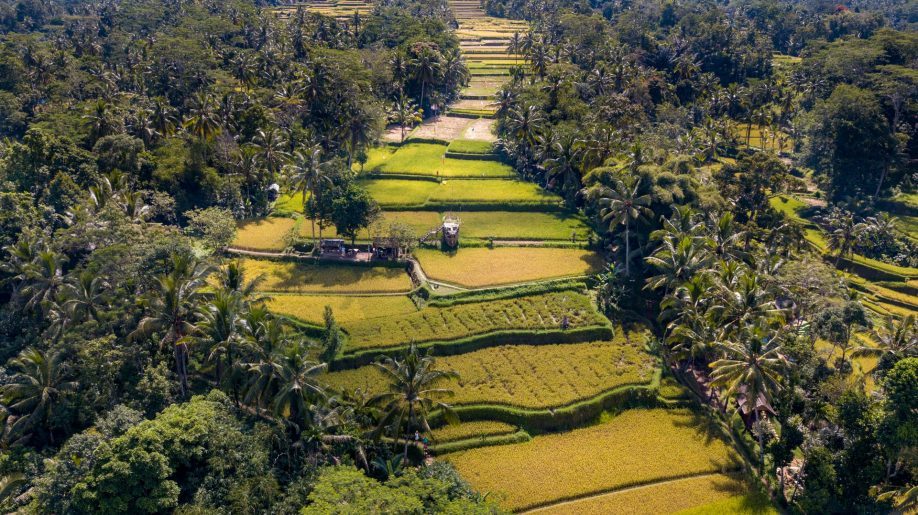 ubud