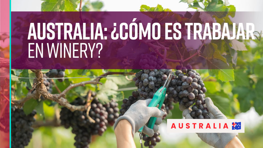 trabajar en winery en Australia