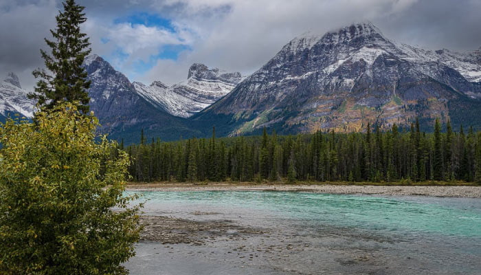 Parque Nacional Jasper